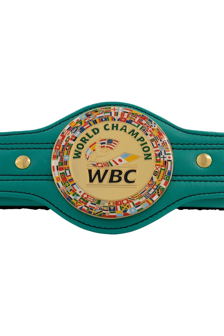 WBC Store WBC Products WBC - Seat Belt Cover 1 WBC Store WBC Products WBC - Seat Belt Cover