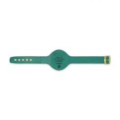 WBC Store WBC Belts WBC - Championship Replica Belt Tyson Fury 16 WBC Store WBC Belts WBC - Championship Replica Belt Tyson Fury